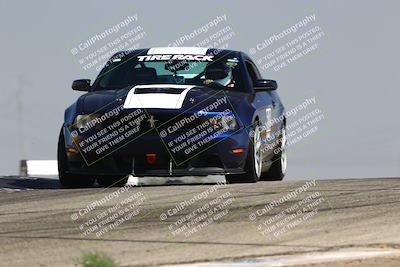 media/Jul-26-2025-Speed Ventures (Sat) [[fe569e6cf0]]/Green Group/Grapevine/